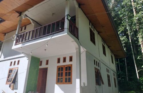 Sopai Casa | Sugi House Toraja - Penginapan Villa Harian Keluarga -Muat 20 orang