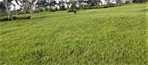 Rwamagana Apartamento | SUGIRA ECO-RESORT