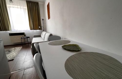 Tirgu Mures Apartamento | Suita UMF 36