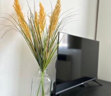 Tirgu Mures Apartamento | Suita UMF 36