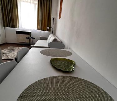 Tirgu Mures Apartamento | Suita UMF 36