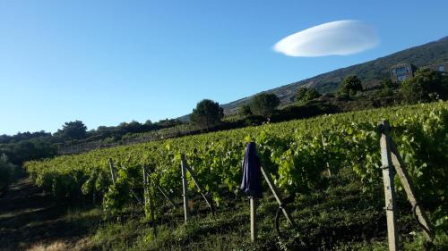 Passopisciaro Casa | Suite in vigneto