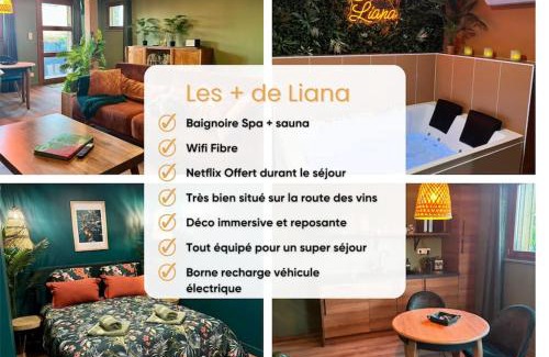 Rorschwihr Casa | Suite LIANA - SPA- SAUNA
