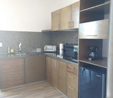 Zona 2 Extendida Apartamento | Suite Loft Amplio Nuevo Salida a CDMX 204A