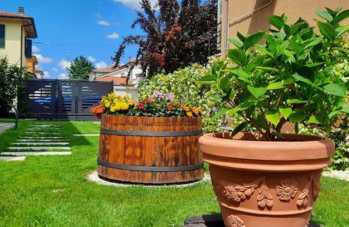 Molinella Apartamento | Suite moderna a due passi dal centro