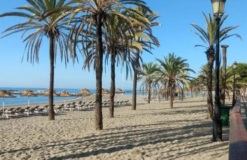 Milla de Oro Apartamento | Suite Patio Andaluz - Jardines 434