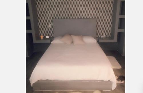 Coyoacán Apartamento | Suite Privada en San Ángel