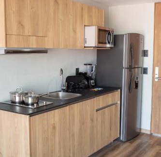 Guadalajara Apartamento | Suites del Carmen Consulado