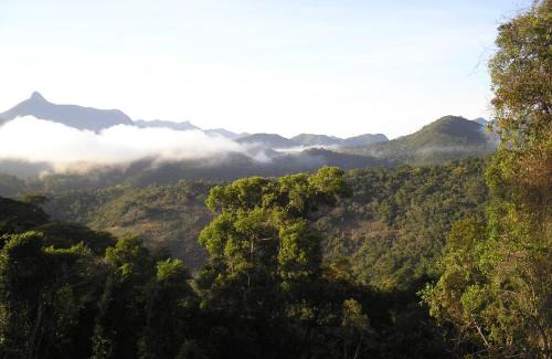 Araras Cama Y Desayuno | Suites em meio a Mata Atlântica