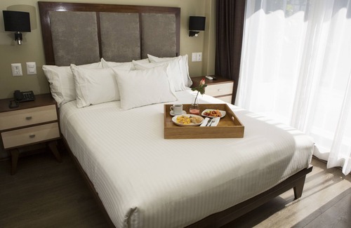 Colonia Cuauhtémoc Hotel | Suites Lerma