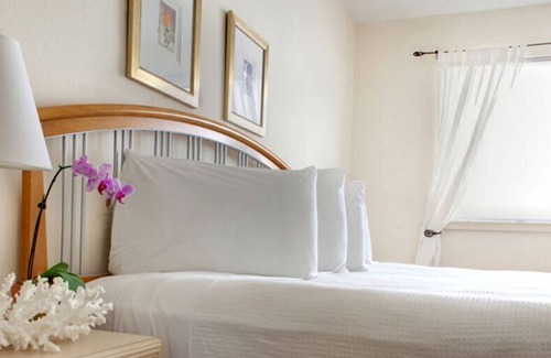 City Center Hotel | Suites of Dorchester