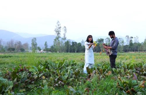 Bullawala Complejo | Sukoon - A Wellness Resort, Uttarakhand