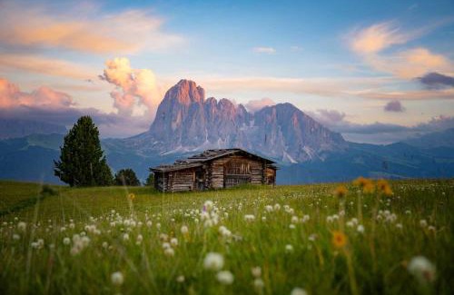 Ortisei Casa | Sule Hof Agriturismo
