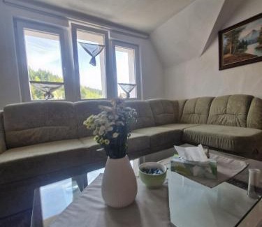 Triberg im Schwarzwald Apartamento | Sumeja Residence