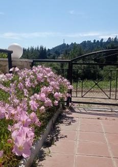 Kriopigi Apartamento | Summer breeze apartment