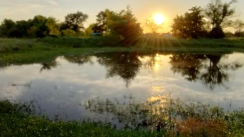 Wills Point Otro | Summer Breeze RV Park