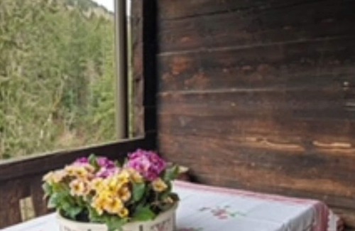 Fresing Casa | Summer House In The Woods
