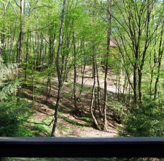 Bukovec Casa | Summer house near lake