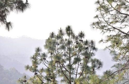 Kasauli Apartamento | Summer Imperial Crest Hotels