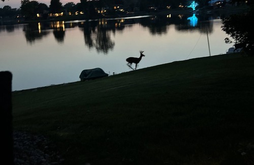 Troy Casa | Summer Lake House MI