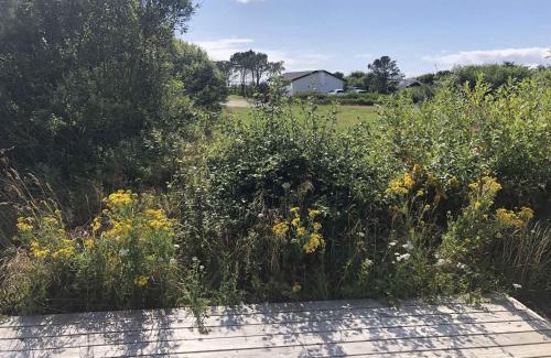 Vestervig Casa | Summerhouse Near The Limfjord And The Western Sea
