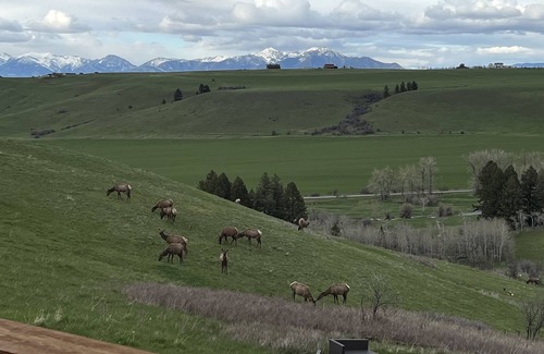 Bozeman Casa | Summit Hydeaway