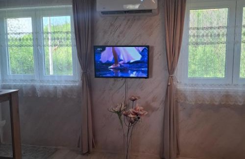 Gornji Milanovac Casa | Sumska vila Zorica