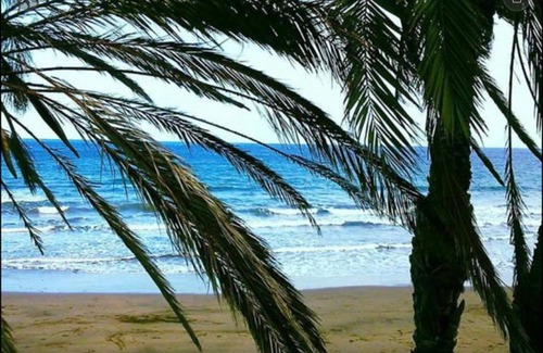 Playa del Aguila Apartamento | Sun Club Resort