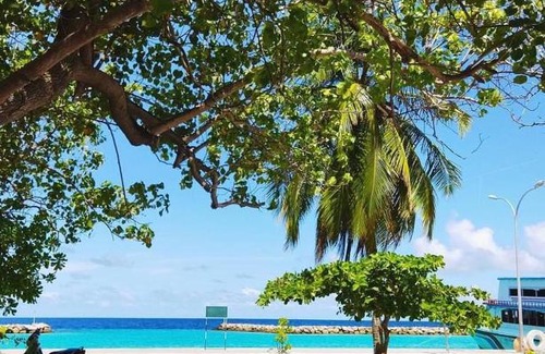 Mahibadhoo Casa | Sun Dive Inn