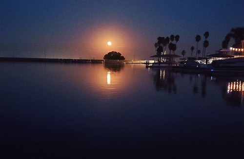 Discovery Bay Casa | Impresionantes exhibiciones de Dawn's Twilight & the Morning Star's Ascent