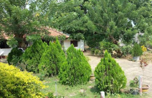 Maritimepattu Casa | Sun & Sand Guest House