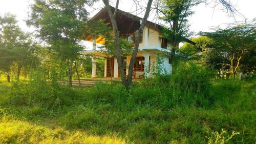 Arusha Cama Y Desayuno | Sundance