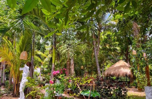 Dambulla Complejo | Sundaras Infinity Jungle Resort