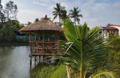 Dayapur Complejo | sundarban jungle mahal resort