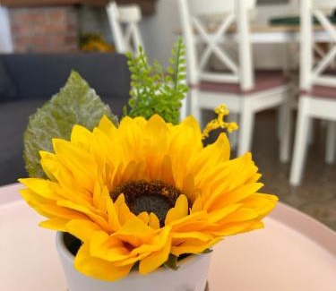 San Benedetto di Lugana Apartamento | Sunflower apartament