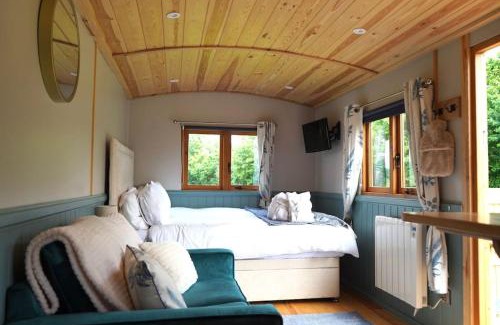 Staple Hill Apartamento | Sunflower Hut