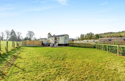 St Harmon Casa | Sunflower - Uk42360