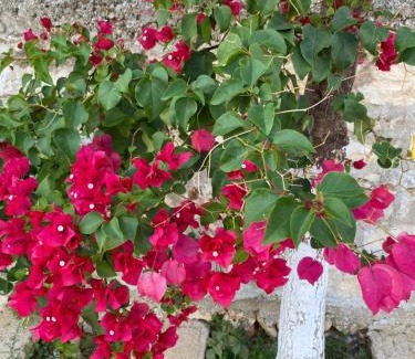 Kodrra Apartamento | Sunny Apartament Saranda