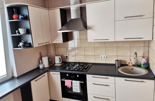 Kedainiai Apartamento | Sunny apartment Kėdainiai