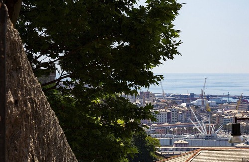 Lagaccio Apartamento | Sunny apartment over the harbor