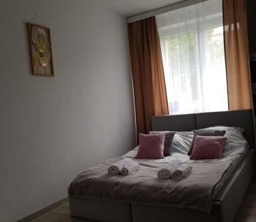 Lodz Apartamento | Sunny Boat Apartment