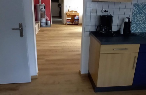 Rodalben Apartamento | Sunny holiday Tawny Owl in the Palatinate Forest