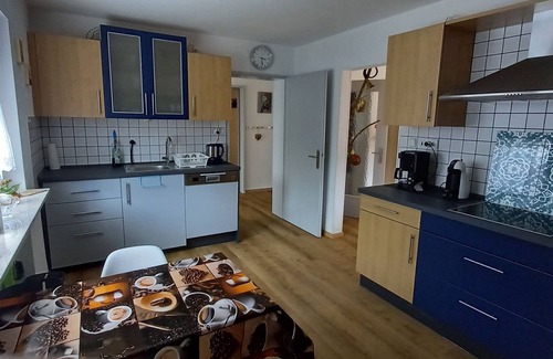 Rodalben Apartamento | Sunny holiday Tawny Owl in the Palatinate Forest