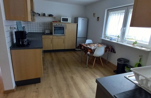 Rodalben Apartamento | Sunny holiday Tawny Owl in the Palatinate Forest