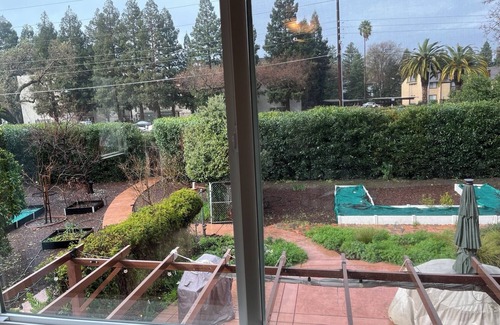 Walnut Creek Casa | Sunny One Bedroom In-law Walking Distance to Public Transit