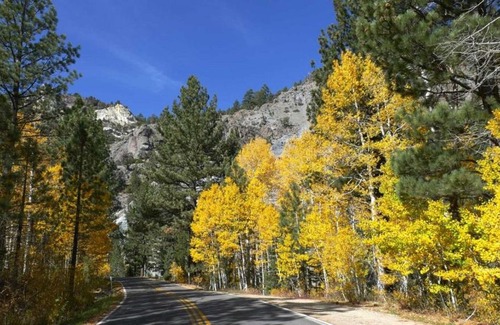 Bear Valley Apartamento | Sunny, Spacious & Pet Friendly - Creekside #39