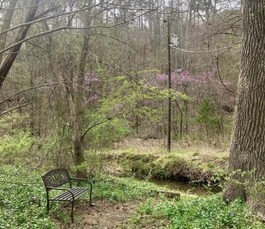 Mena Casa | Sunnybrook Cabin, wooded, private with stream, near ATV trails