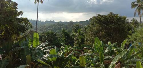 Port Blair Apartamento | Sunrise Home Stay