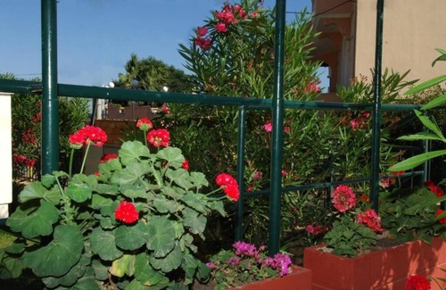 Agia Ermioni Apartamento | Sunrise Hotel