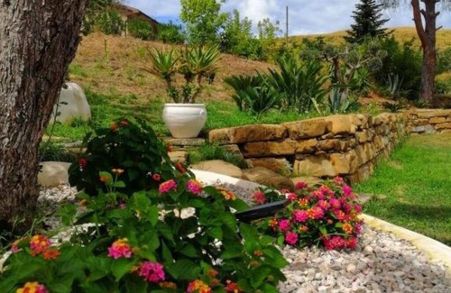 Laureana Cilento Cama Y Desayuno | Sunrise in the Vineyard Bed and Breakfast - Oak